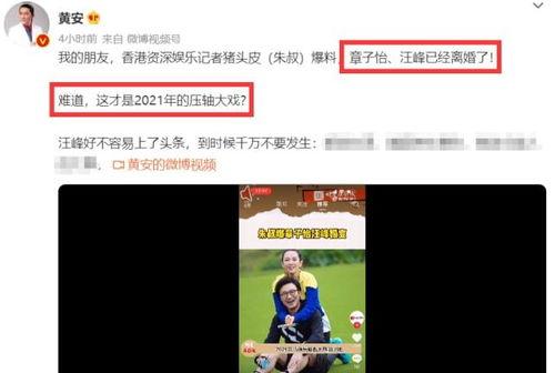 独家爆料喜相迎酒店 吃瓜真实爆料,揭秘幕后真相，吃瓜群众狂欢时刻